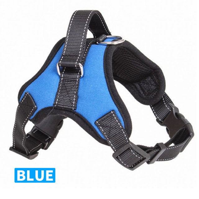 Dog Collars Chest Harnesses - Laven Club