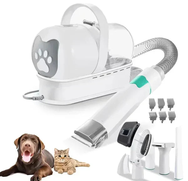 Dog Grooming