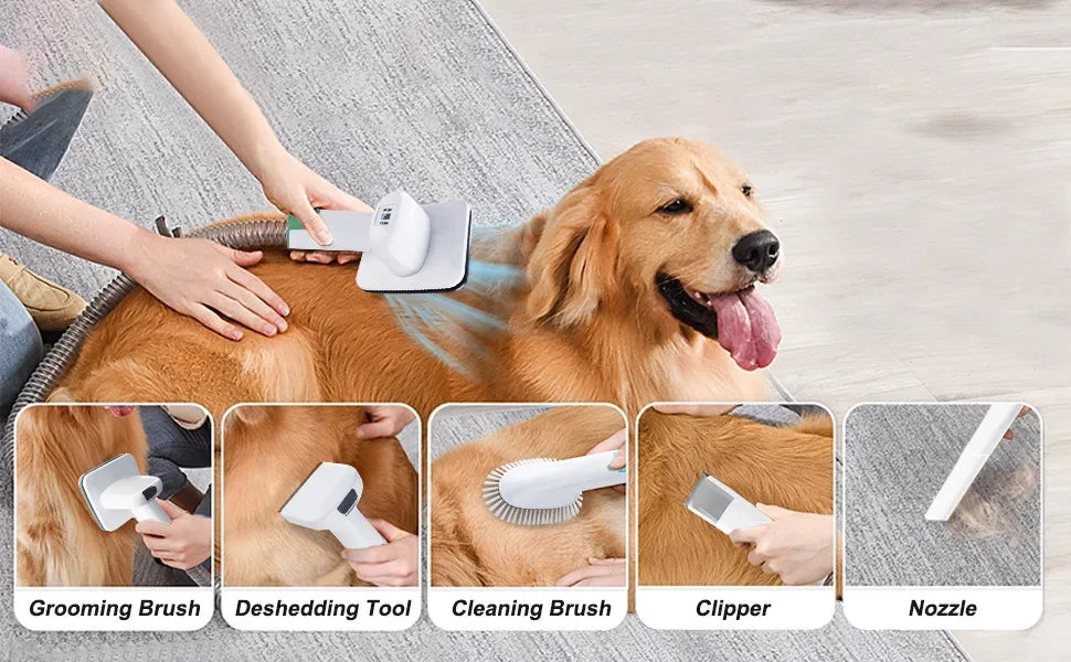 Tired of Pet Hair Everywhere and Expensive Grooming Visits?
