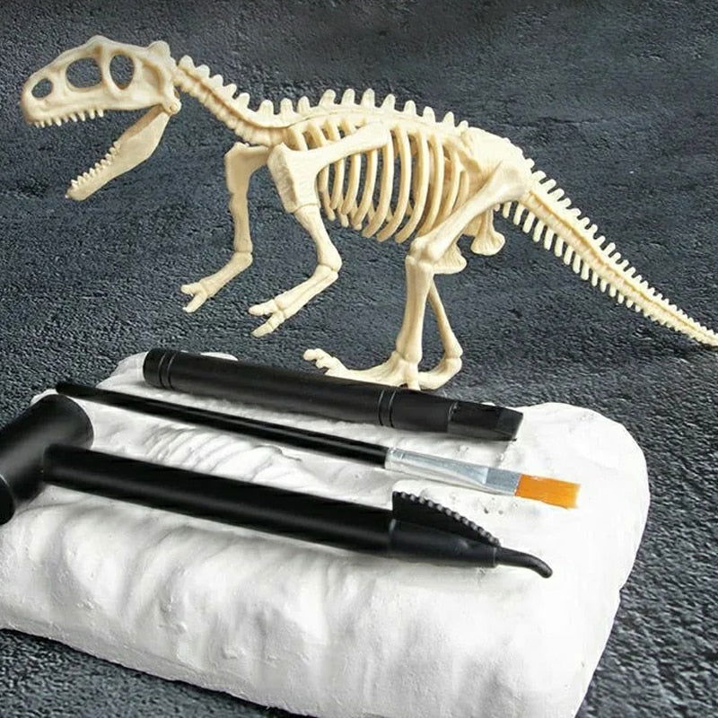 Dinosaur Fossil Digging Kit - Laven Club