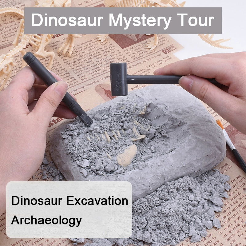 Dinosaur Fossil Digging Kit - Laven Club