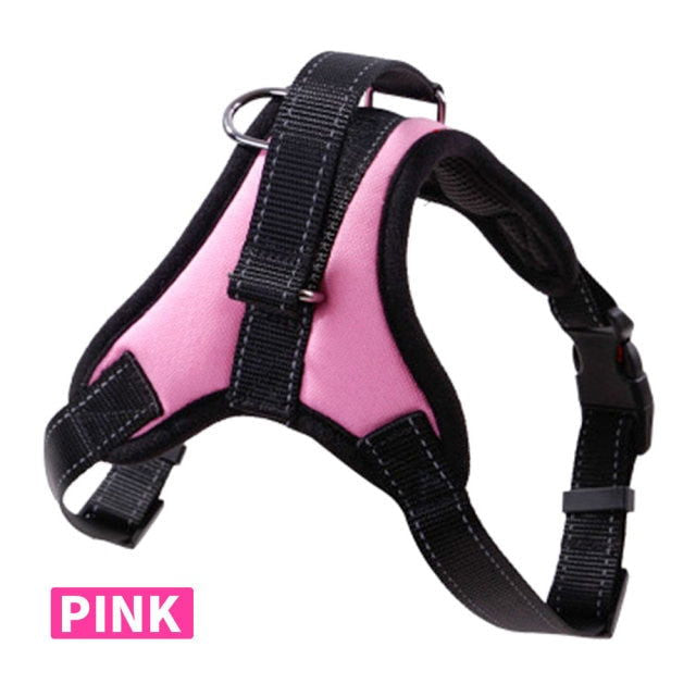 Dog Collars Chest Harnesses - Laven Club