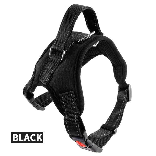 Dog Collars Chest Harnesses - Laven Club