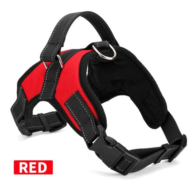 Dog Collars Chest Harnesses - Laven Club