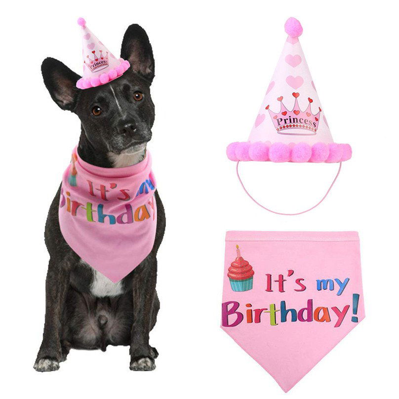 Dogs Birthday Headwear - Laven Club