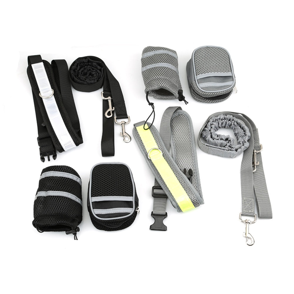 ELASTIC HANDS-FREE DOG LEASH SET