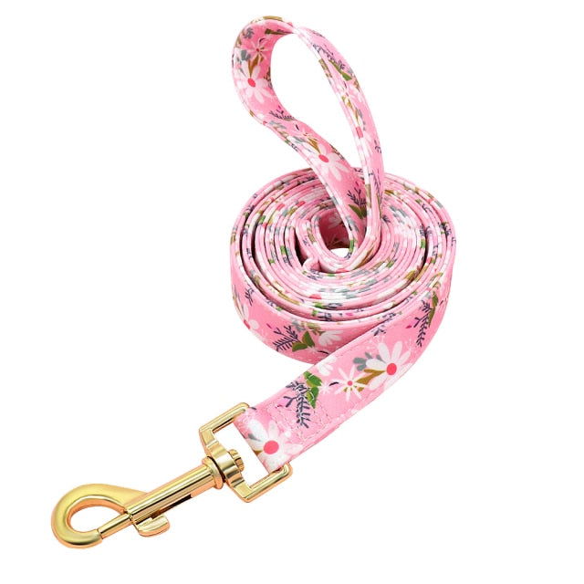 Nylon Printed Dog Leash - Laven Club