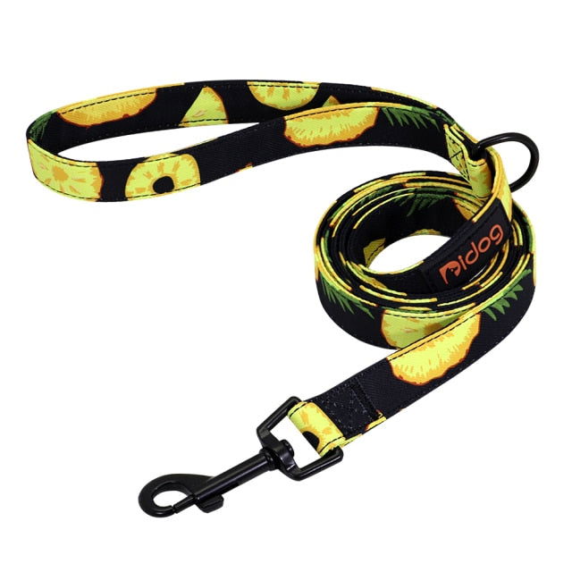 Nylon Printed Dog Leash - Laven Club