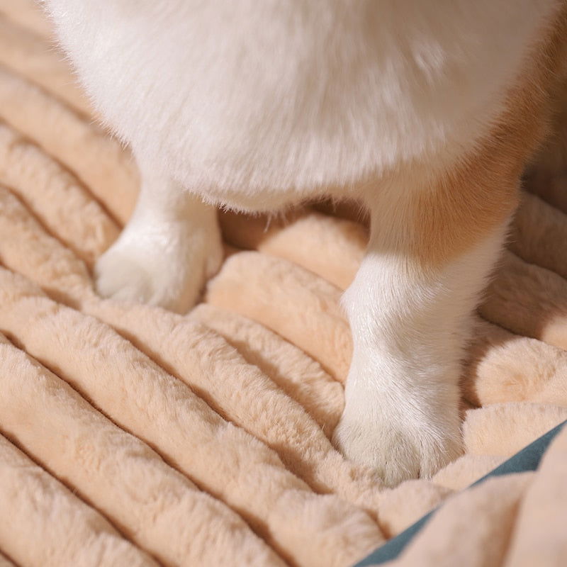 PetPad - Orthopedic dog bed - Laven Club