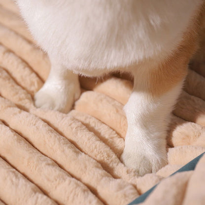 PetPad - Orthopedic dog bed - Laven Club