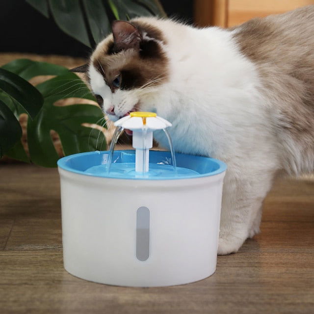 Pet Water Dispenser - Laven Club