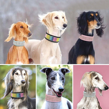 PoochDazzle - Crystal Rhinestone Reflective Dog Collar - Laven Club
