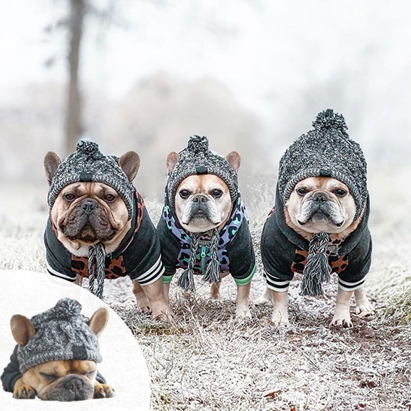 PoochPom - Polar Dog Pom Pom Hat - Laven Club
