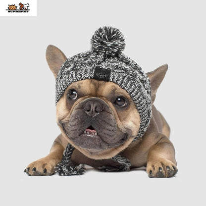PoochPom - Polar Dog Pom Pom Hat - Laven Club