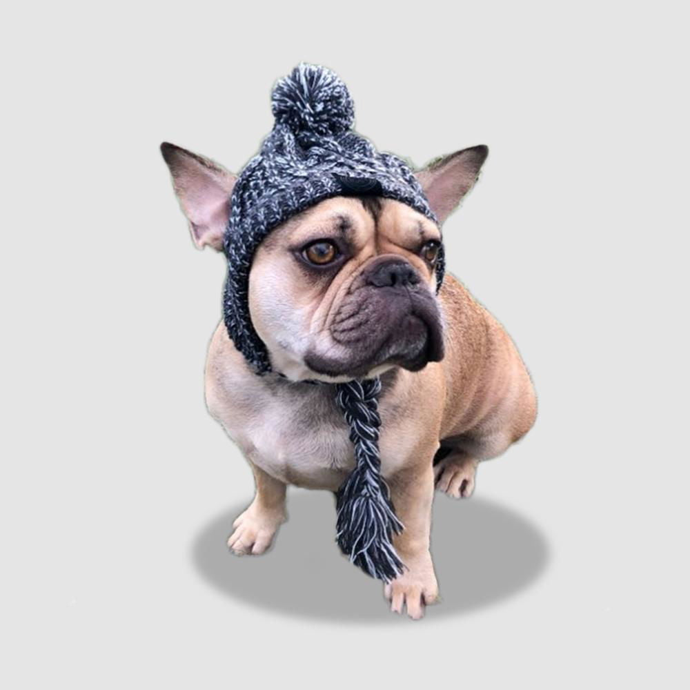 PoochPom - Polar Dog Pom Pom Hat - Laven Club