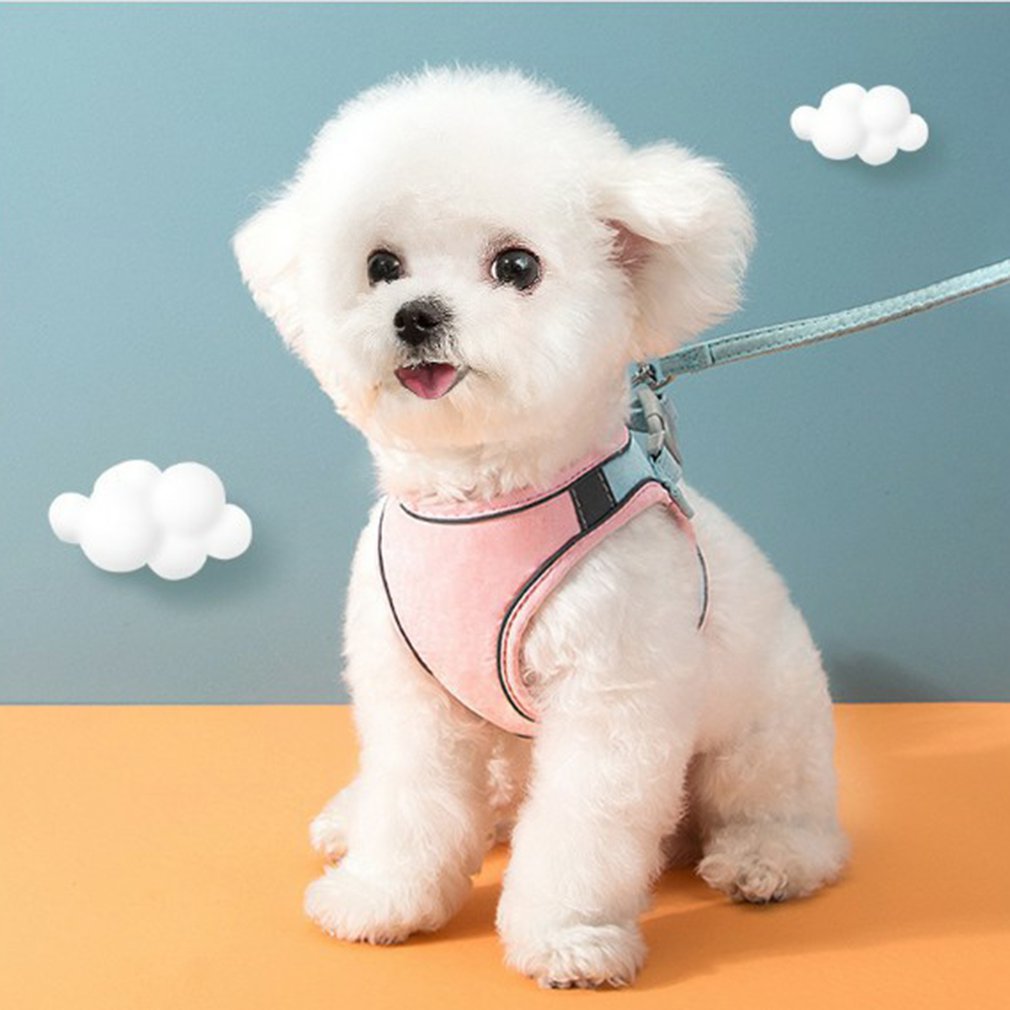 LUMINOUS CAT VEST HARNESS AND LEASH SET