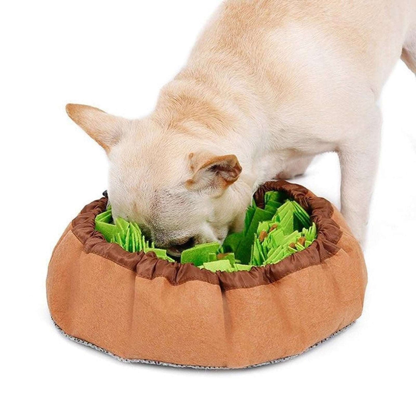Dog Sniffing Pad
