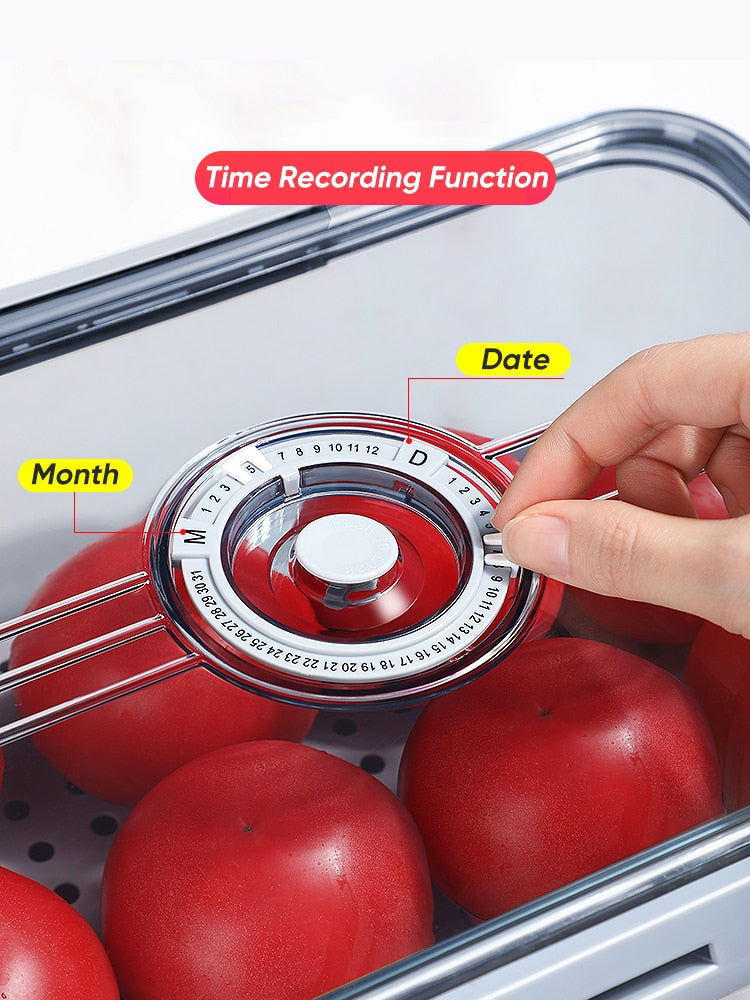 Seal Timer Food Container-3PCS - Laven Club