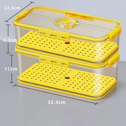 Seal Timer Food Container-3PCS - Laven Club