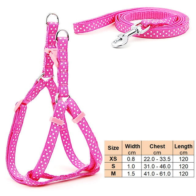 Small Dog Cat Harness Leash - Laven Club