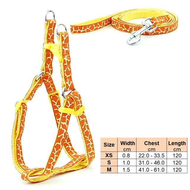 Small Dog Cat Harness Leash - Laven Club