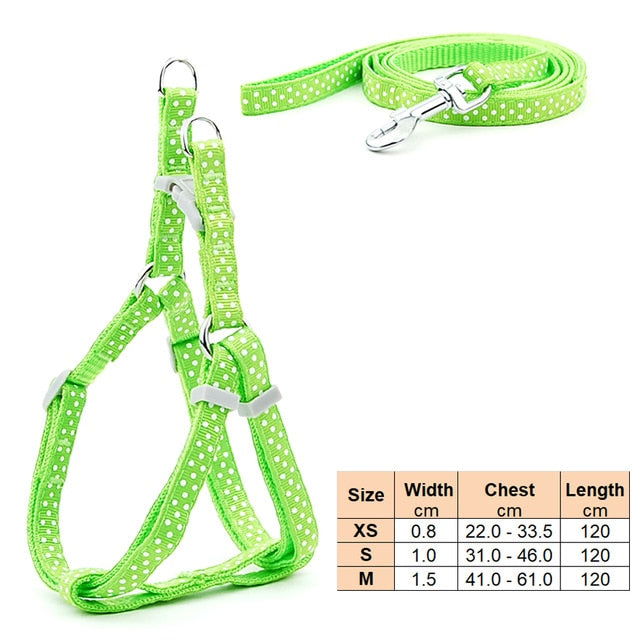 Small Dog Cat Harness Leash - Laven Club