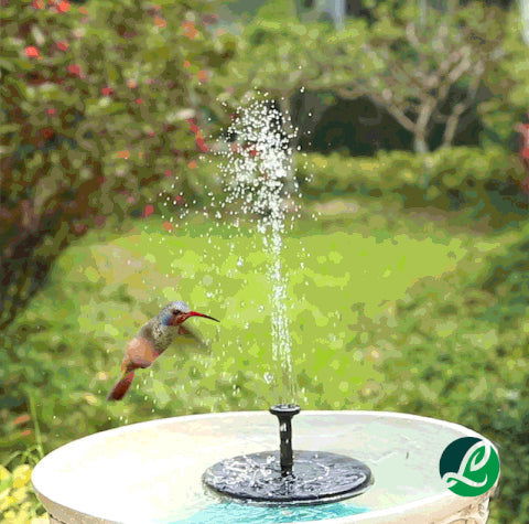 Solar Powered Fountain Pump - Laven Club