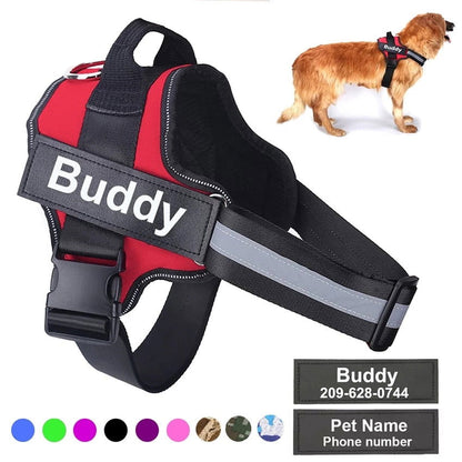 Strap N Walk-Personalized Safety Dog Harness - Laven Club