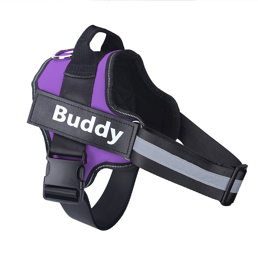 Strap N Walk-Personalized Safety Dog Harness - Laven Club