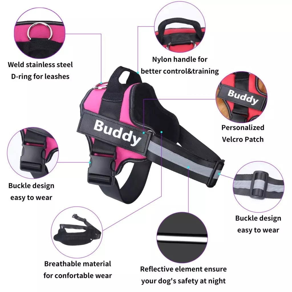 Strap N Walk-Personalized Safety Dog Harness - Laven Club