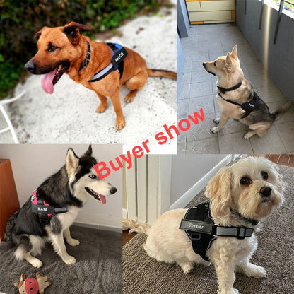Strap N Walk-Personalized Safety Dog Harness - Laven Club