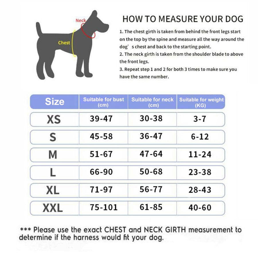 Strap N Walk-Personalized Safety Dog Harness - Laven Club