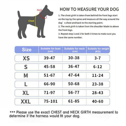 Strap N Walk-Personalized Safety Dog Harness - Laven Club