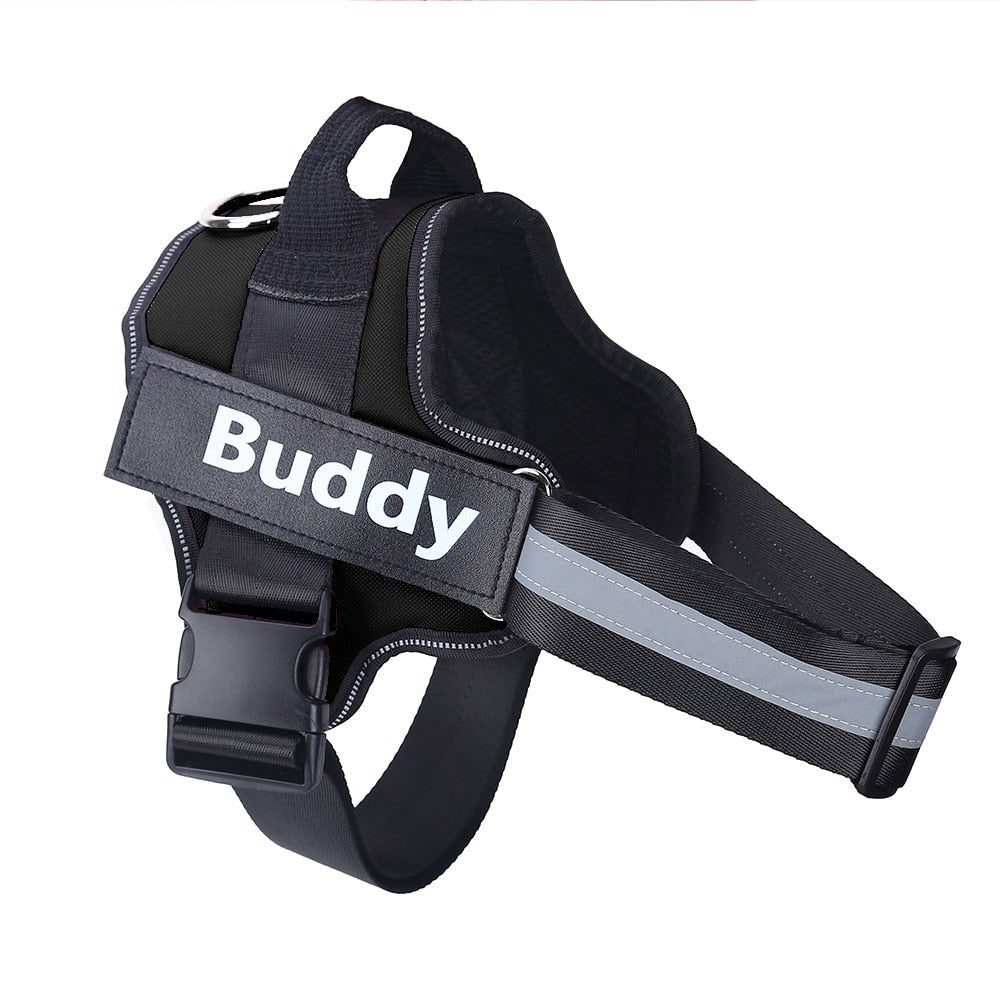 Strap N Walk-Personalized Safety Dog Harness - Laven Club