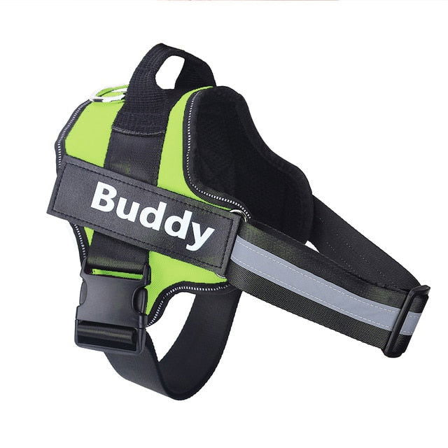 Strap N Walk-Personalized Safety Dog Harness - Laven Club