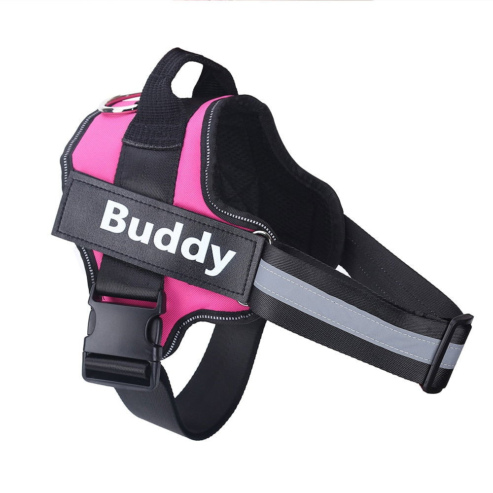 Strap N Walk-Personalized Safety Dog Harness - Laven Club