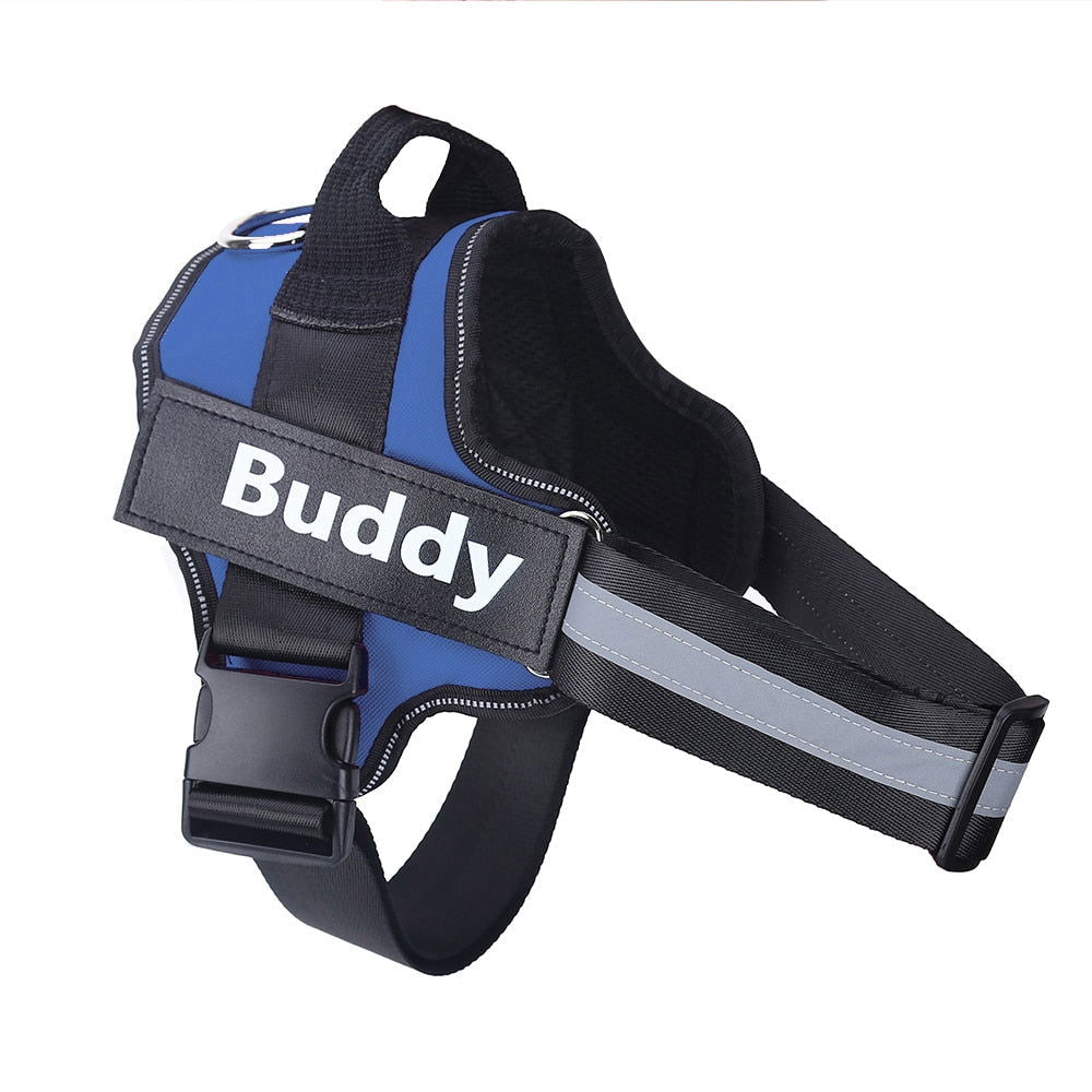 Strap N Walk-Personalized Safety Dog Harness - Laven Club