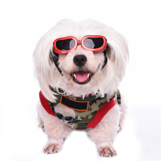 Sunglasses Eye Protection For Pets - Laven Club