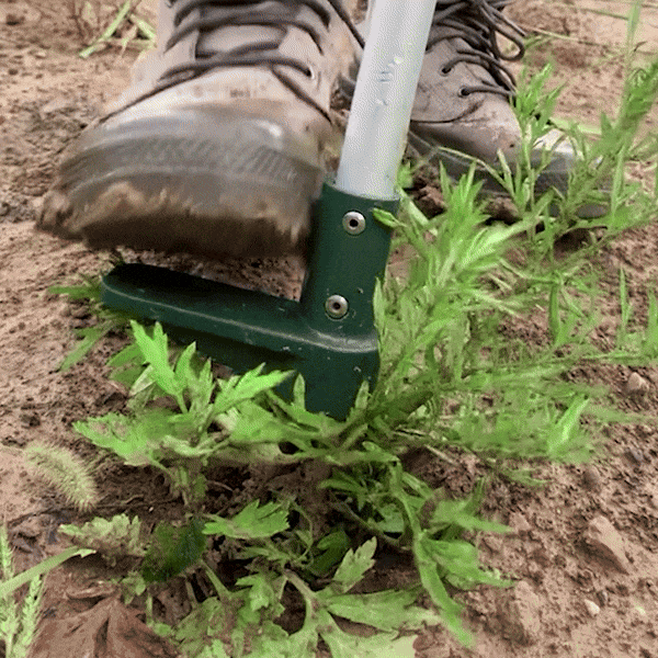 The RootEase™️ Weed Extractor - Laven Club