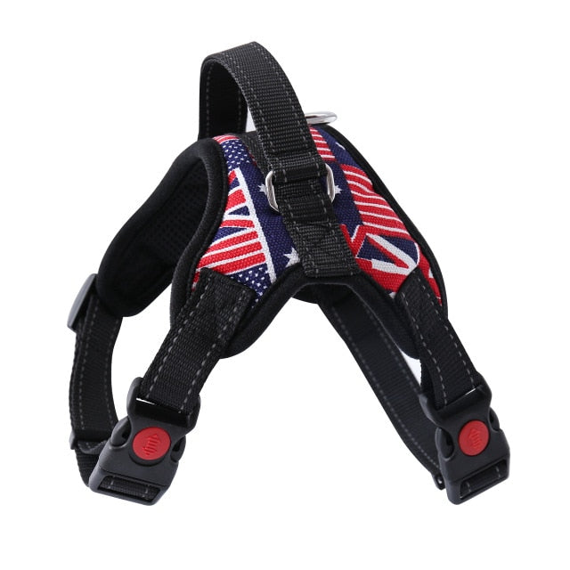 Harness With Leash - Adjustable Harness | The Pets Beat