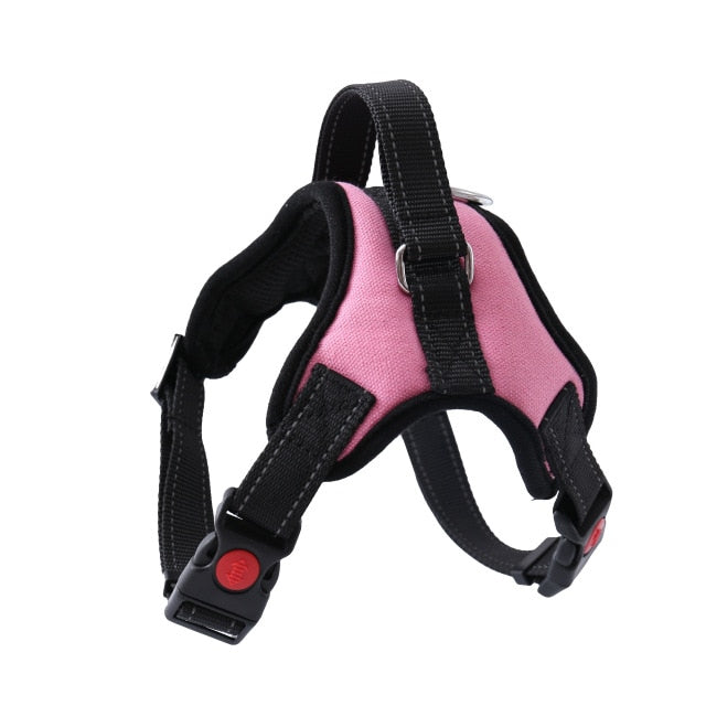 Harness With Leash - Adjustable Harness | The Pets Beat