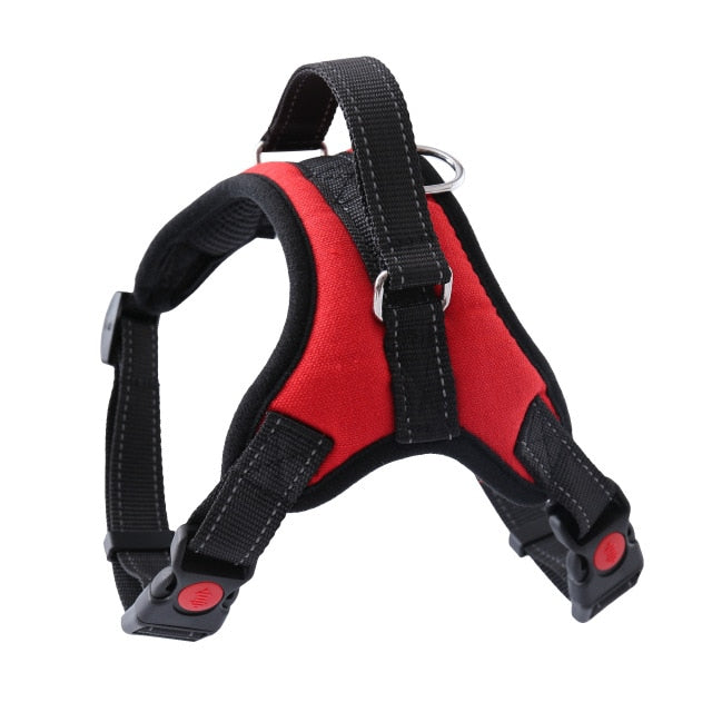 Harness With Leash - Adjustable Harness | The Pets Beat