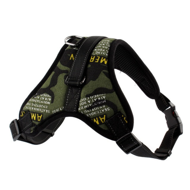 Harness With Leash - Adjustable Harness | The Pets Beat