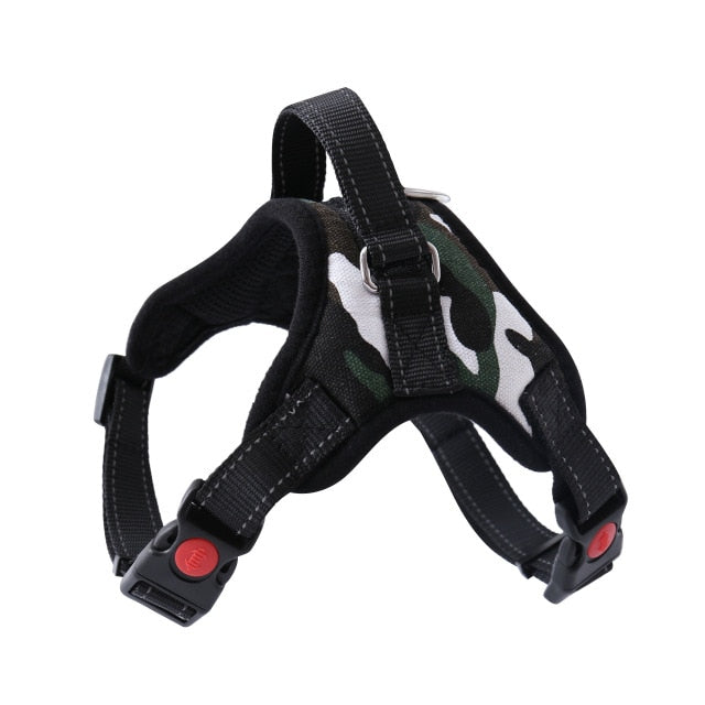 Harness With Leash - Adjustable Harness | The Pets Beat