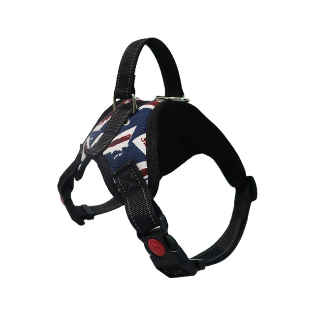 Harness With Leash - Adjustable Harness | The Pets Beat