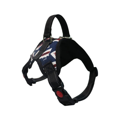 Harness With Leash - Adjustable Harness | The Pets Beat
