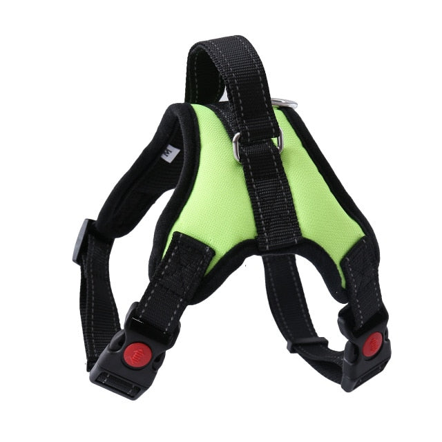 Harness With Leash - Adjustable Harness | The Pets Beat