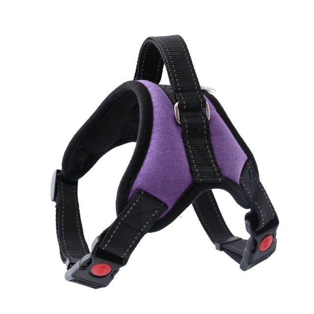 Harness With Leash - Adjustable Harness | The Pets Beat