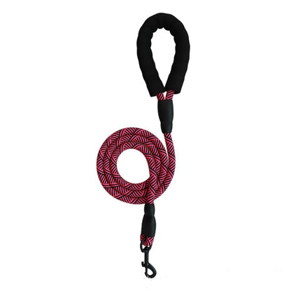 Harness With Leash - Adjustable Harness | The Pets Beat